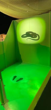 モビリティリゾートもてぎに投稿された画像（2023/11/22）