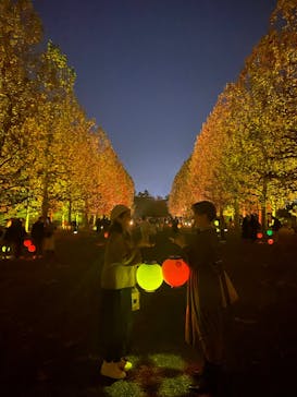 NAKED 紅葉の新宿御苑2023に投稿された画像（2023/11/22）