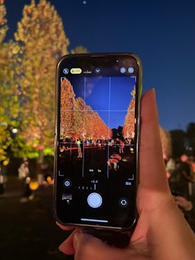 NAKED 紅葉の新宿御苑2023に投稿された画像（2023/11/22）