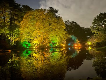 NAKED 紅葉の新宿御苑2023に投稿された画像（2023/11/22）