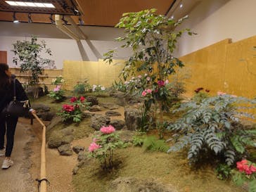 日本庭園　由志園に投稿された画像（2023/11/22）