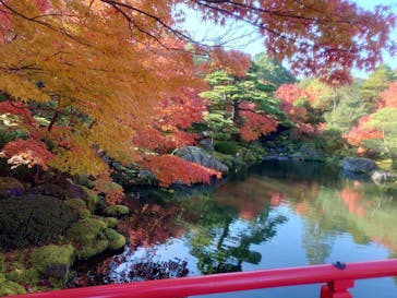 日本庭園　由志園に投稿された画像（2023/11/22）
