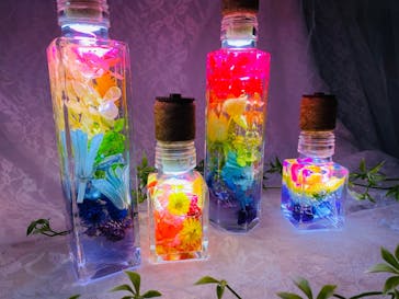 ずこうしつ〜sugamo〜に投稿された画像（2023/11/22）