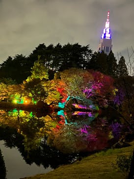 NAKED 紅葉の新宿御苑2023に投稿された画像（2023/11/22）