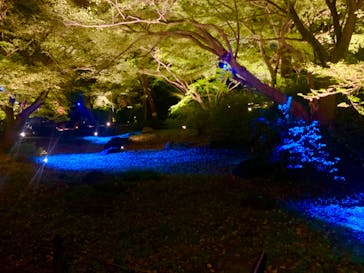 六義園に投稿された画像（2023/11/22）