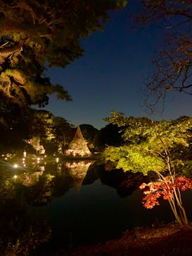 六義園に投稿された画像（2023/11/22）