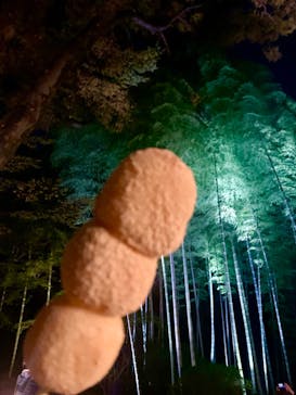 六義園に投稿された画像（2023/11/22）