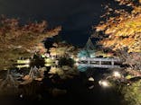 国営昭和記念公園 秋の夜散歩に投稿された画像（2023/11/22）