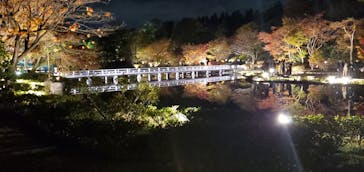 国営昭和記念公園 秋の夜散歩に投稿された画像（2023/11/22）