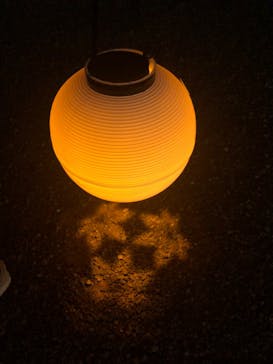 NAKED 紅葉の新宿御苑2023に投稿された画像（2023/11/22）