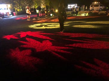 NAKED 紅葉の新宿御苑2023に投稿された画像（2023/11/22）