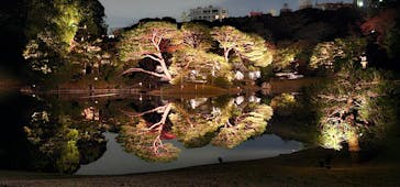 六義園に投稿された画像（2023/11/22）