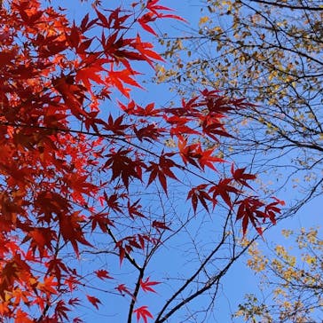 名古屋市東山動植物園に投稿された画像（2023/11/22）