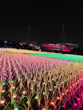 東京メガイルミに投稿された画像（2023/11/22）