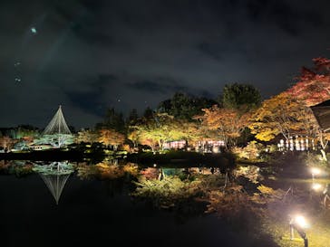 国営昭和記念公園 秋の夜散歩に投稿された画像（2023/11/22）