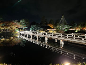 国営昭和記念公園 秋の夜散歩に投稿された画像（2023/11/22）