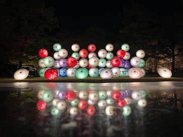 国営昭和記念公園 秋の夜散歩に投稿された画像（2023/11/22）