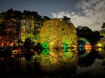 NAKED 紅葉の新宿御苑2023に投稿された画像（2023/11/22）