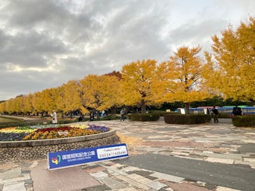 国営昭和記念公園 秋の夜散歩に投稿された画像（2023/11/22）