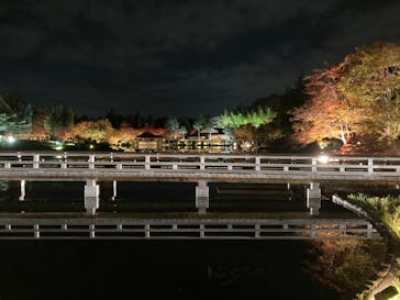 国営昭和記念公園 秋の夜散歩に投稿された画像（2023/11/22）