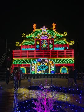 伊豆ぐらんぱる公園に投稿された画像（2023/11/22）