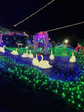 伊豆ぐらんぱる公園に投稿された画像（2023/11/22）