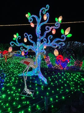 伊豆ぐらんぱる公園に投稿された画像（2023/11/22）