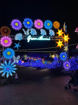 伊豆ぐらんぱる公園に投稿された画像（2023/11/22）