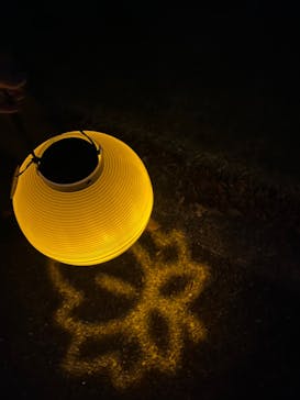 NAKED 紅葉の新宿御苑2023に投稿された画像（2023/11/22）