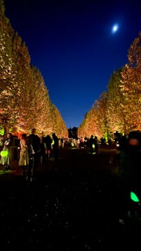 NAKED 紅葉の新宿御苑2023に投稿された画像（2023/11/22）