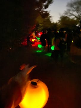 NAKED 紅葉の新宿御苑2023に投稿された画像（2023/11/22）