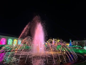 神戸イルミナージュに投稿された画像（2023/11/22）