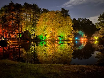 NAKED 紅葉の新宿御苑2023に投稿された画像（2023/11/22）