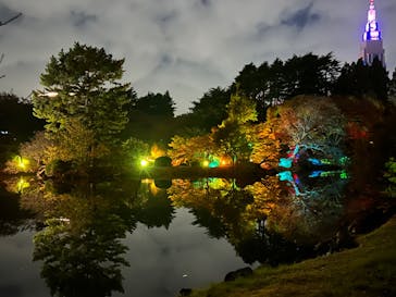 NAKED 紅葉の新宿御苑2023に投稿された画像（2023/11/22）