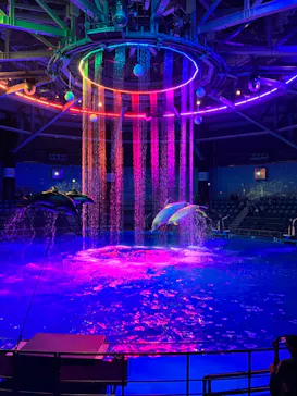 マクセル アクアパーク品川に投稿された画像（2023/11/22）