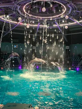 マクセル アクアパーク品川に投稿された画像（2023/11/22）