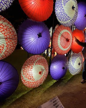 国営昭和記念公園 秋の夜散歩に投稿された画像（2023/11/22）