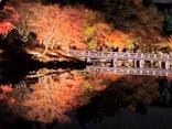 国営昭和記念公園 秋の夜散歩に投稿された画像（2023/11/23）