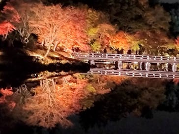 国営昭和記念公園 秋の夜散歩に投稿された画像（2023/11/22）