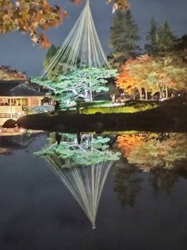 国営昭和記念公園 秋の夜散歩に投稿された画像（2023/11/22）