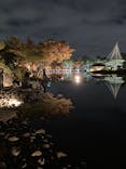 国営昭和記念公園 秋の夜散歩に投稿された画像（2023/11/23）