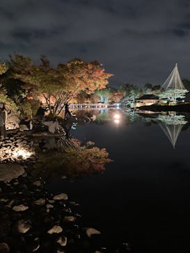 国営昭和記念公園 秋の夜散歩に投稿された画像（2023/11/22）