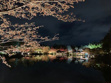 国営昭和記念公園 秋の夜散歩に投稿された画像（2023/11/22）