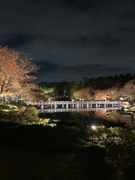 国営昭和記念公園 秋の夜散歩に投稿された画像（2023/11/22）