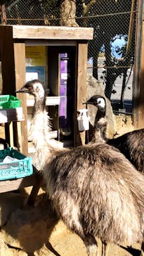 伊豆シャボテン動物公園に投稿された画像（2023/11/23）