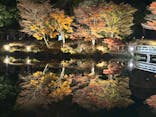 国営昭和記念公園 秋の夜散歩に投稿された画像（2023/11/23）