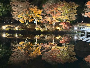 国営昭和記念公園 秋の夜散歩に投稿された画像（2023/11/23）