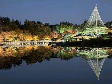 国営昭和記念公園 秋の夜散歩に投稿された画像（2023/11/23）