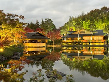 国営昭和記念公園 秋の夜散歩に投稿された画像（2023/11/23）