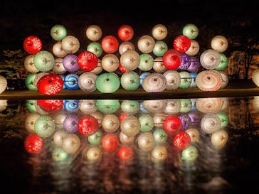 国営昭和記念公園 秋の夜散歩に投稿された画像（2023/11/23）